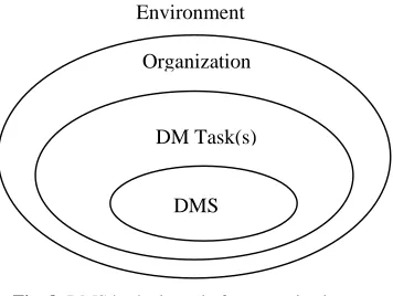 Fig. 8. DMS in the kernel of an organization 