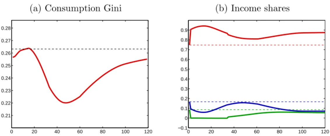 Figure 1.4: Inequality measures (a) Consumption Gini
