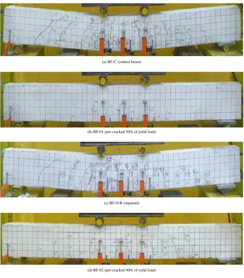 Fig. 3 Crack patterns of control, pre-cracked and repaired beams (BF type) 