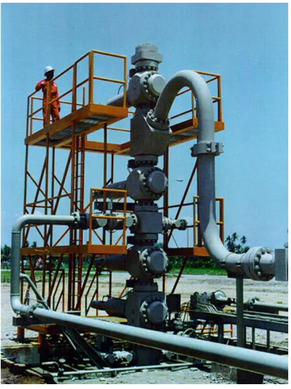Fig. 6 Example OFE installation in well field  
