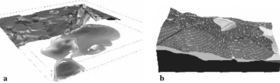 Figure 4 Surface/volume processing and visualization: (a) prototype volume interpolation and visualization for groundwater pollution study (GRASS3D prototype 1993); and (b)  visual-ization of multiple surfaces with cutting plane – comparison of terrain bef