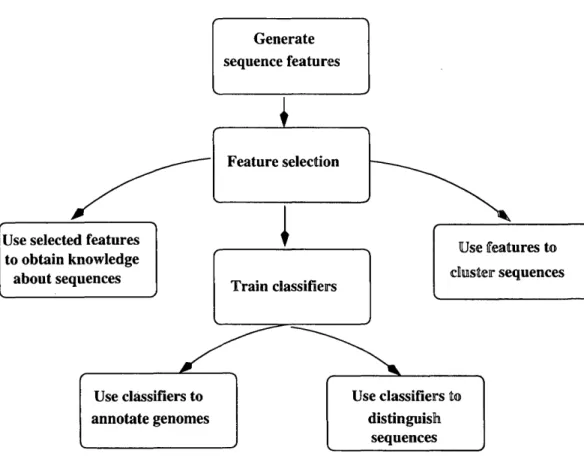 Figure 1.1:  Approach used in this thesis for improving understanding of TEs in genomes