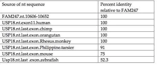 Figure 4. Alignment of the USP18 terminal exon nt sequences from seven species compared with the FAM247 sequence
