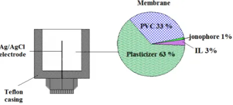 Fig. 1. Scheme of electrode construction and membrane com- position. 