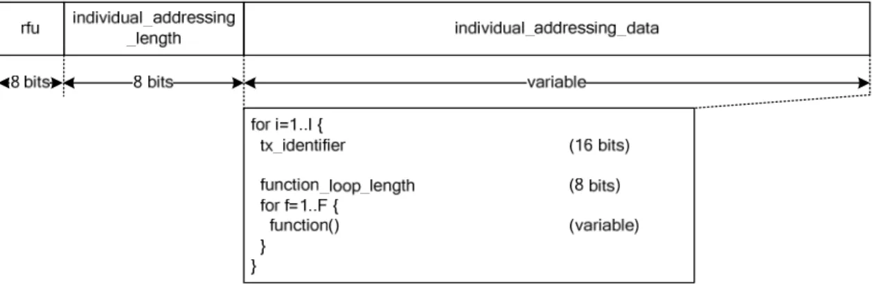 Figure 9: Individual addressing payload 