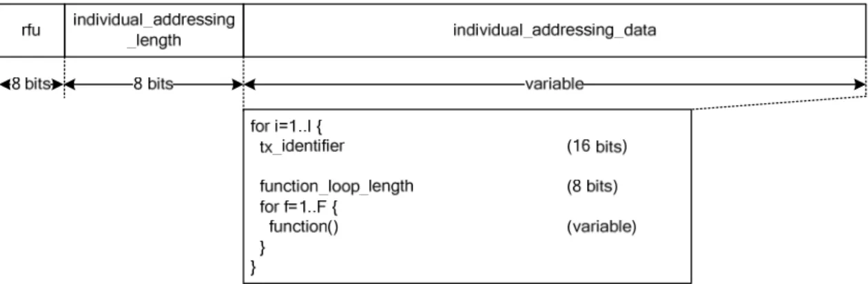 Figure 11: Individual addressing payload 
