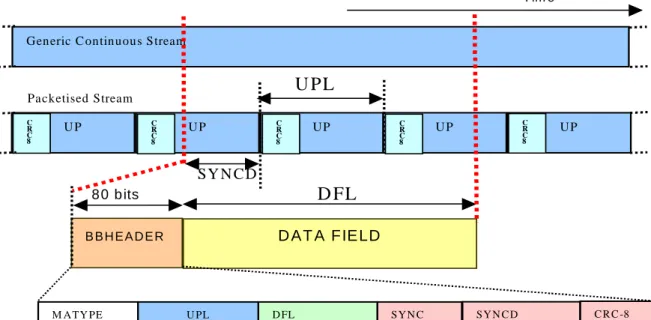 Figure 3: Stream format at the output of the MODE ADAPTER 