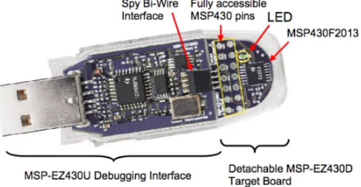 Figure 1.1: EZ430-F2013 Development Stick