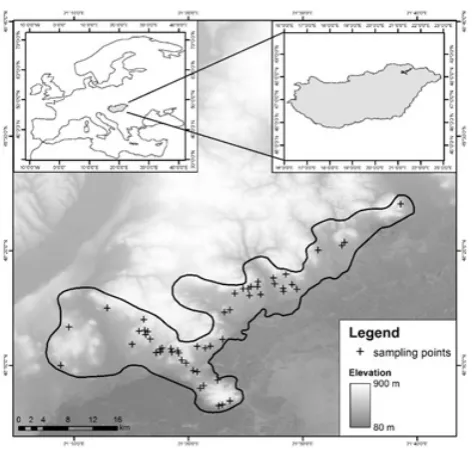 Fig. 1. Map of soil sampling points.