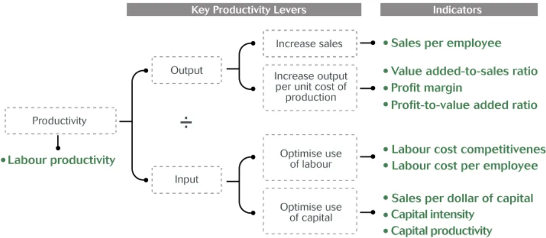 Figure 2 shows how the key productivity indicators are linked to the key productivity levers.