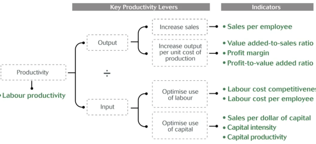 Figure 1: Indicators of Organisation’s Performance on the Key Productivity Levers