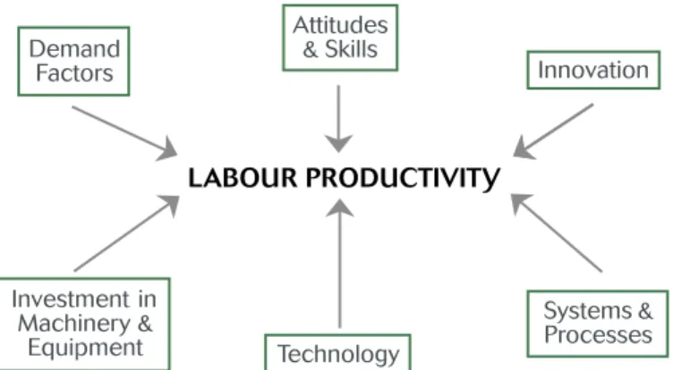 Figure 2.2: Factors Affecting Labour Productivity