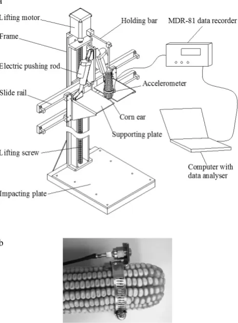 Fig. 3. Impact system of the corn ear: a – drop-testing bed of corn 