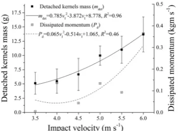 Fig. 8. Detached kernel mass and the dissipated momentum at different impact velocities