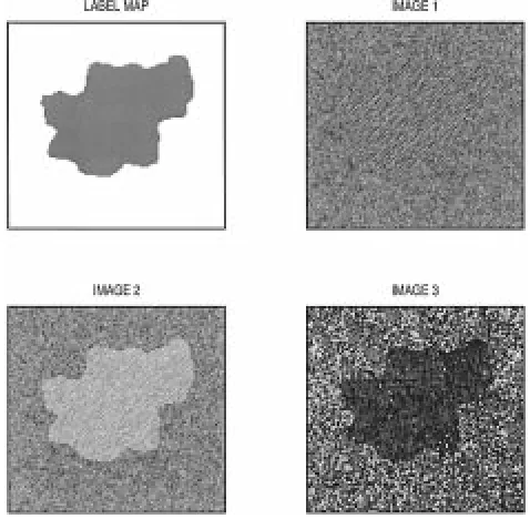 Fig. 2.Label map and the 3 textured images to be used in the simulation study.