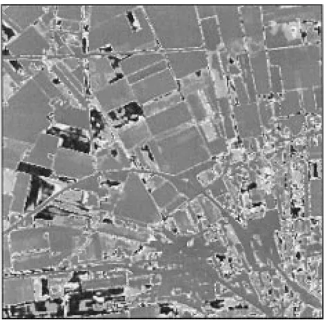 Fig. 7.MPM segmentation of the image in Fig. 5 into five classes.