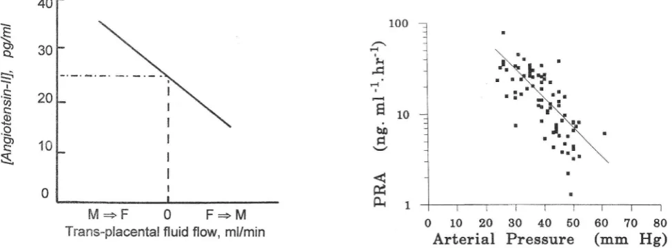 Fig. 1 (Left). Dependency of fluid exchange between maternal and fetal placental circulations on the concentration of angiotensin-II in fetalplasma