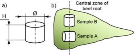 Fig. 1. Scheme of the measuring head of the stand for studying the course of the sugar beet root response force.