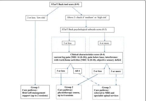 Fig. 1 Stratification algorithm for allocating patients to groups and matched care pathways