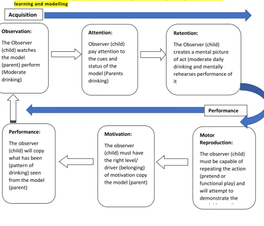 Figure 10 (3.0): Visual explanatory model depicting social learning through observational 