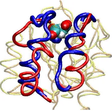 Figure 1. The native (blue) and phosphorylated (red) conformations of NTRC. The site of phosphorylation (Asp54) is shown as spheres