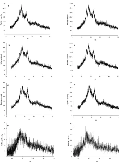 Fig. 1. X-ray diffraction of the starch of complete (AABBRR) triticale on 16, 22, 31, and 40 DAA (A, B, C and D, respectively) and substituted (AABBDR) triticale on 16, 22, 31, and 40 DAA (E, F, G and H, respectively).
