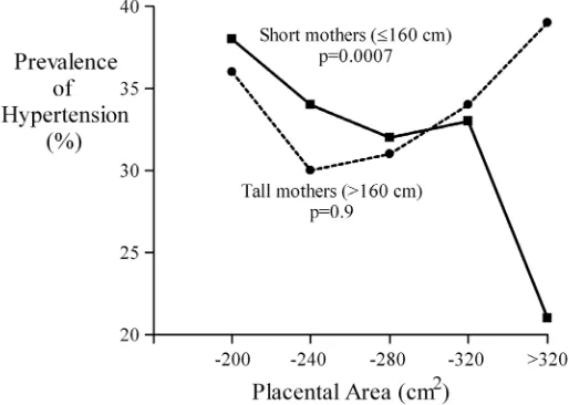 Fig. 1. Prevalence of hypertension according to placental area in theoffspring of short and tall mothers.