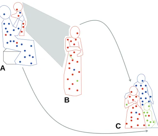 Fig. 1. Microchimerism (Mc) in three generations. (A) Proband as