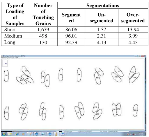 Fig. 8  Digitally separated rice grain samples 