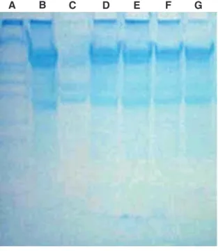 Figure 3 shows the protein data and lactate data from an HEK 293 cell line expressing a recombinant IgG cultured in serum-free medium
