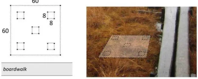 Fig. 11. Example of the spatial sampling design for a wetland of station Class 1 with three plant community types identified in the target area