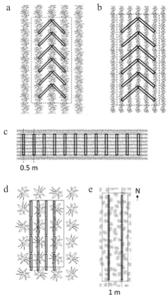 Fig. 2. Vegetation sampled at each location: a – row crops with uniform plant spacing in the row, b – row crops with irregular plant spacing in the row, c – single-spaced large crops, d – broadcast sown crops