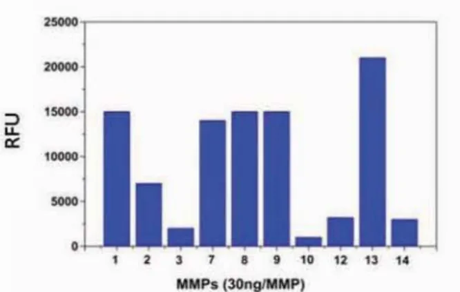 Figure 3.24 The excitation and emission spectra of iFluor™ 750 Goat Anti- Anti-Rabbit IgG conjugate (Cat# 16660) in PBS buffer (pH 7.2).