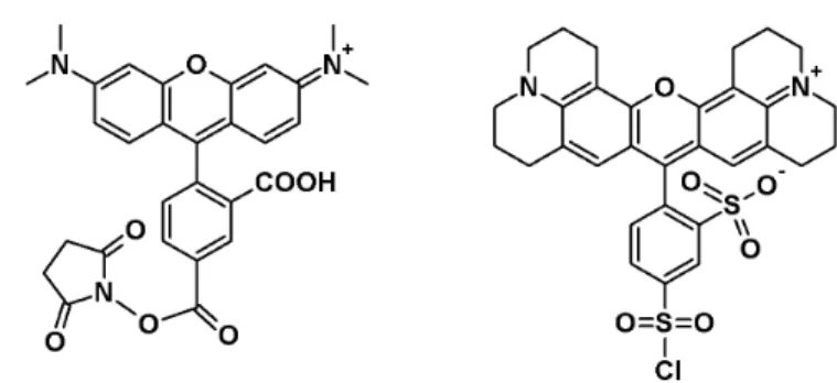 Table 2.3 Rhodamine Dyes for Labeling Peptides