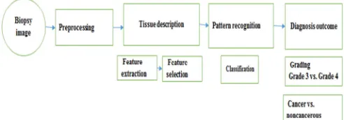 Fig.  1  The general architecture of the typical CAD system for PCa [8]  