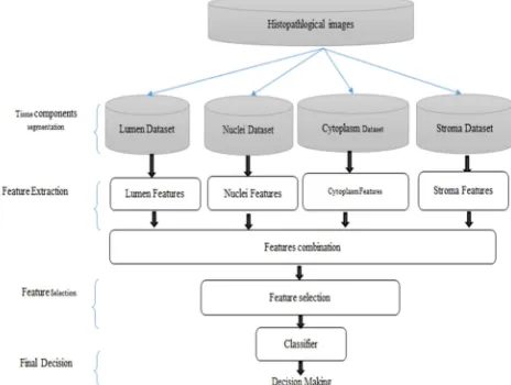 Fig.   2 Dense feature vectors of all tissue components (called naive approach)  