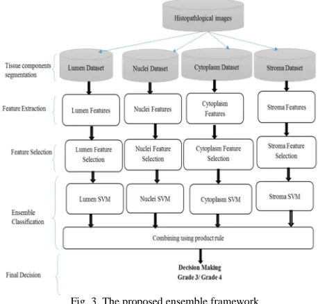 Fig. 3. The proposed ensemble framework 