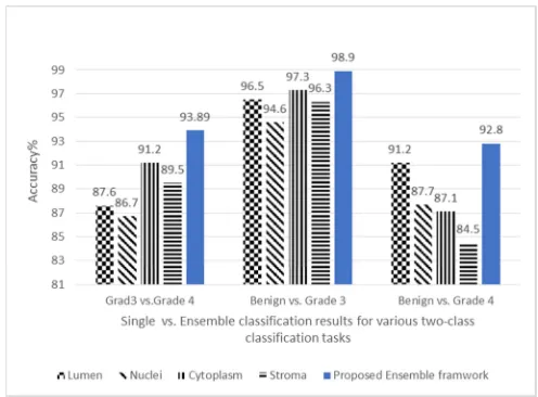 Fig. 5    Classification accuracies of the proposed ensemble framework and the individual tissue components for each two-class classification task
