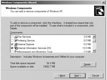 Figure 1-3. Choosing to install IIS
