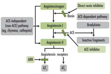Figure 5. The RAAS cascade. 19