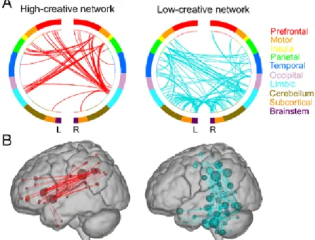Fig. 1. Depictions of the high- and low-creative networks. Circle plots (A) and glass brains (B)  were thresholded to show the highest degree (k) nodes in the networks (high-creative k = 10,  low-creative k = 18)