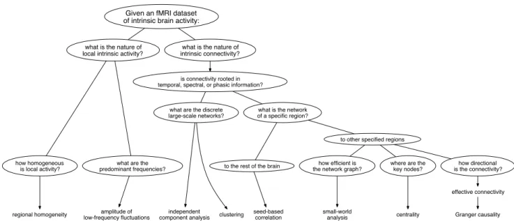 Fig. 1 A flowchart of possible questions that could be addressed with current methodologies given a resting-state fMRI data set.