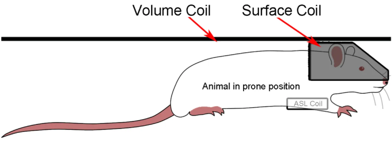 Figure 4 – Bias Fields and Correction Overview. 