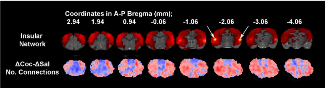 Figure  7  –  Insular  Cortex  Network  (paper  IV)  and  the  ΔCoc-ΔSal  Connection  Counter  Index  (CCI),  paper III