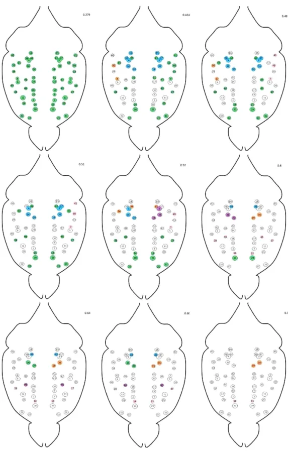 Figure 4.  Each group of areas detected by our percolation analysis in correspondence of a given correlation  value is composed by many sub-modules, whose presence is evidenced by raising the threshold value