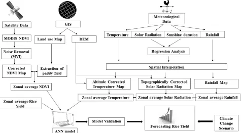 Fig. 2. Schematic diagram of model development.