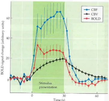 Figure  1.4  The  hemodynamic  response   and  its  relationship  with  cerebral  blood  flow  (CBF)  and  cerebral  blood  volume  (CBV)