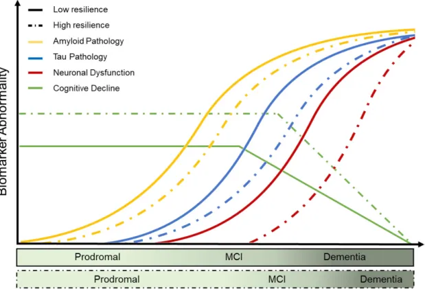 Figure  9  –  Hypothetical  model  on  the  evolution  of  Alzheimer’s  disease  biomarkers  based  on  the  level  of  resilience