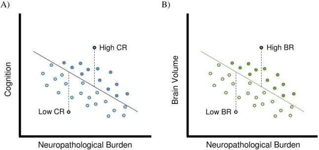 Figure  10  – Illustration of the residual approach for the quantification of cognitive and brain reserve