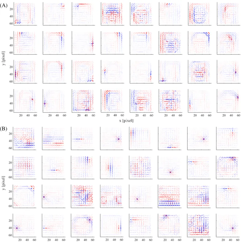 Fig 12. The basis representations of 32 example model units from (A) the face submodel and (B) the object submodel, in the network trained with 300 reduced dimensions.